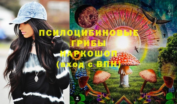 стафф Вязьма